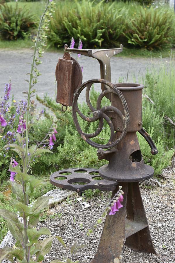 Lucky Mud Inn And Disc Golf Resort Skamokawa Exterior foto